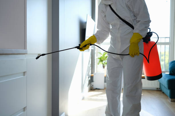 Best Bathroom Mold Remediation in Wright, WY