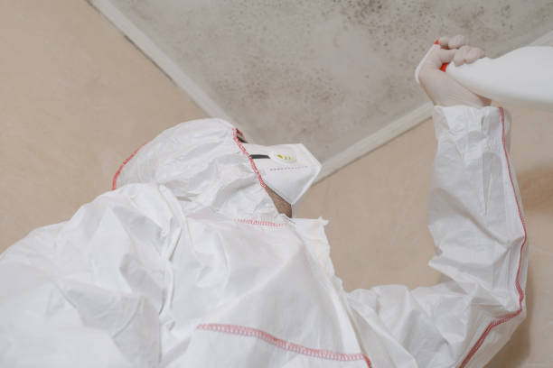 Best Residential Mold Remediation in Wright, WY
