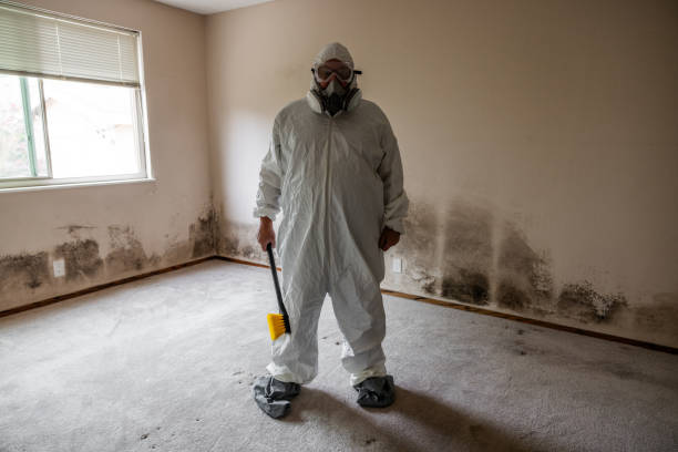 Reliable Wright, WY Mold Remediation Solutions
